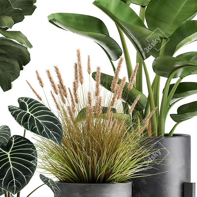 Exotic Plant Collection: Tropical Foliage in Black Pots & Vases 3D model image 3