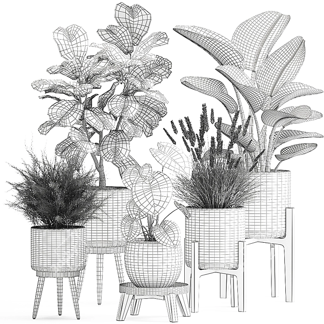 Exotic Plant Collection: Tropical Foliage in Black Pots & Vases 3D model image 6