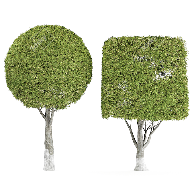 Elegant Decor Tree 3D model image 1