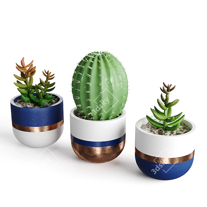 Title: Succulent Oasis Collection 3D model image 3