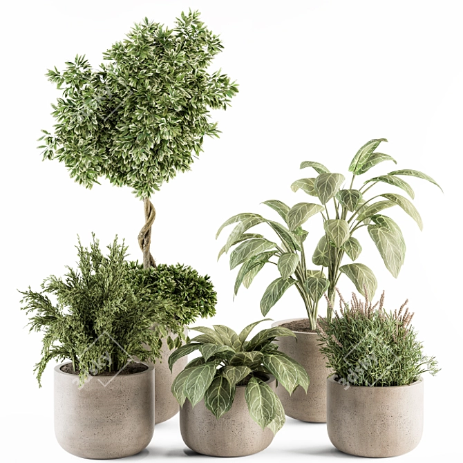 Vibrant Indoor Plant Set 3D model image 1