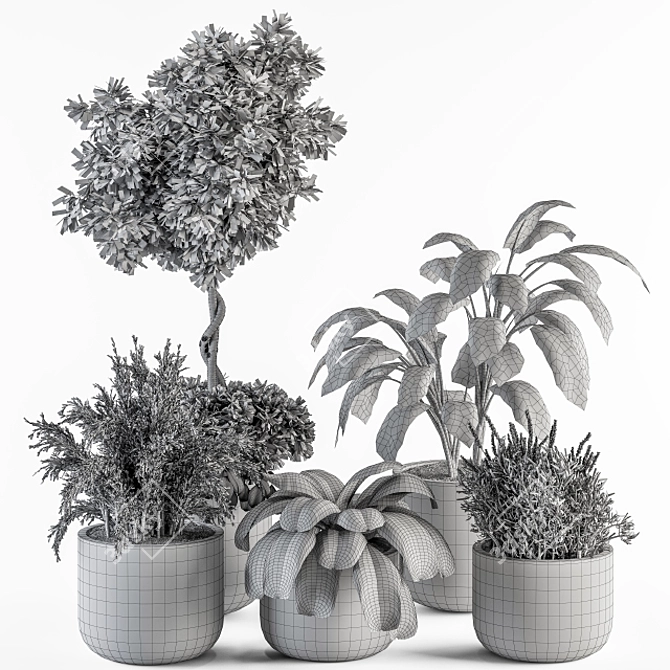 Vibrant Indoor Plant Set 3D model image 6