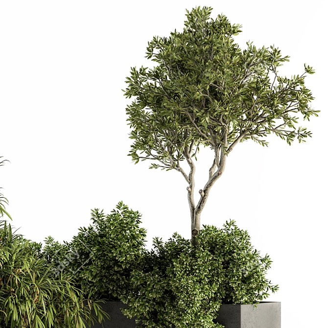 Nature's Oasis: Outdoor Plant Set 3D model image 3