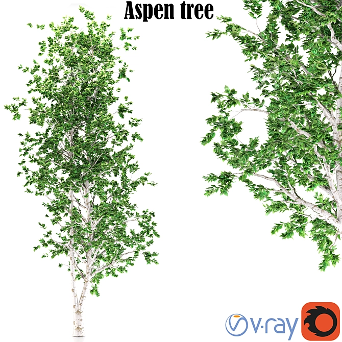 Aspen Treeline Tapestry 3D model image 1