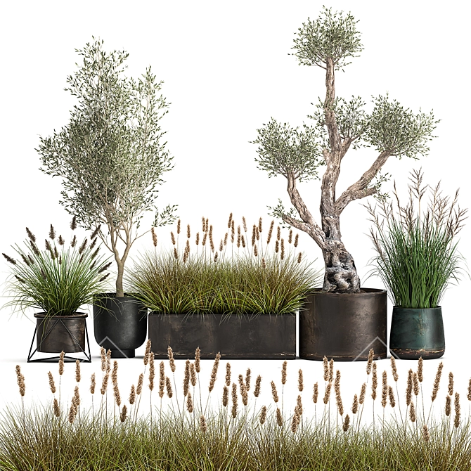 Exotic Plant Collection: Indoor & Outdoor Beauties! 3D model image 1