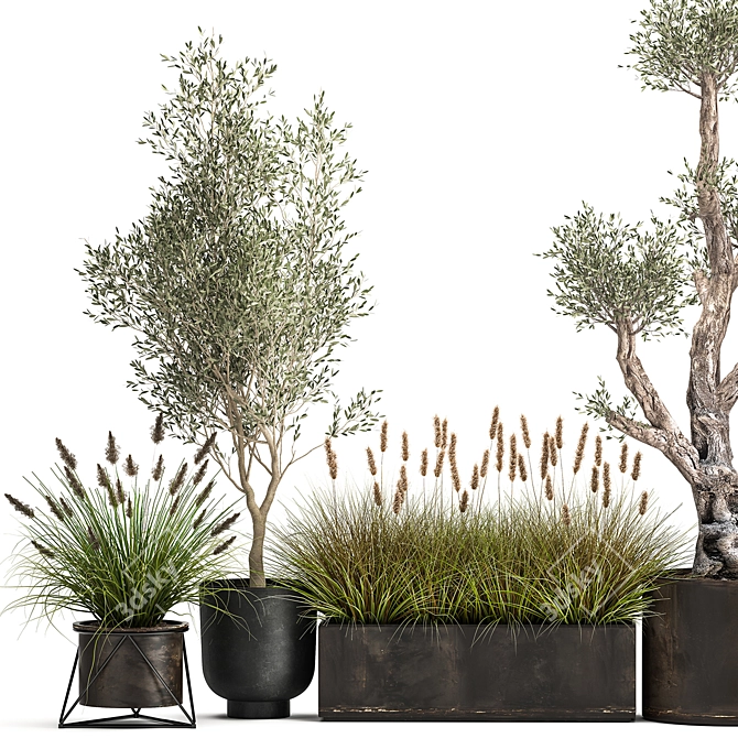 Exotic Plant Collection: Indoor & Outdoor Beauties! 3D model image 2