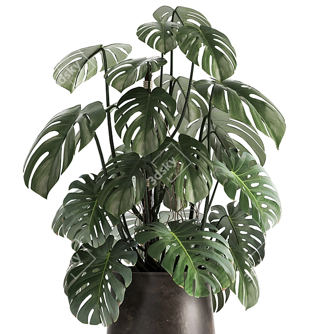 Tropical Treasures: 1001 Plant Collection 3D model image 4