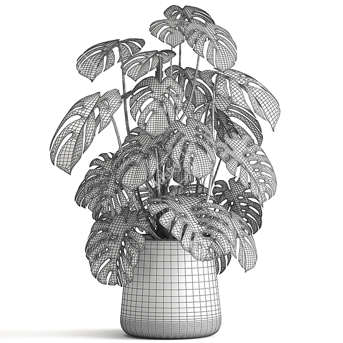 Tropical Treasures: 1001 Plant Collection 3D model image 6