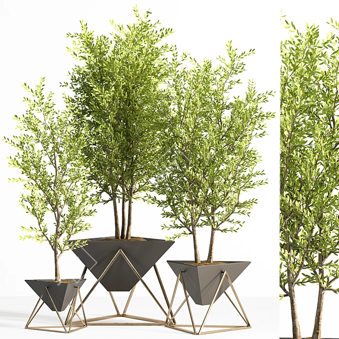 Contemporary Indoor Plant Set 3D model image 1