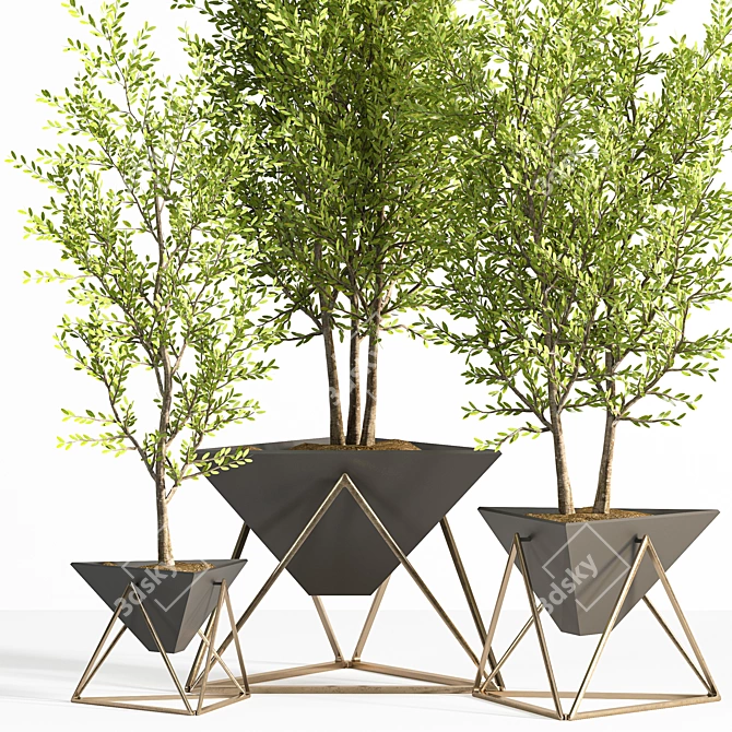 Contemporary Indoor Plant Set 3D model image 2