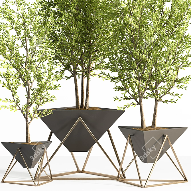 Contemporary Indoor Plant Set 3D model image 4