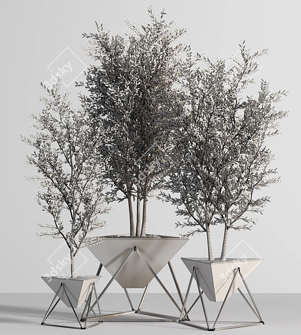 Contemporary Indoor Plant Set 3D model image 5