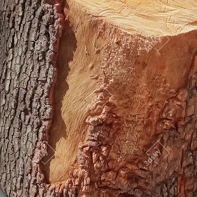 Rustic Wood Log Stool 3D model image 3