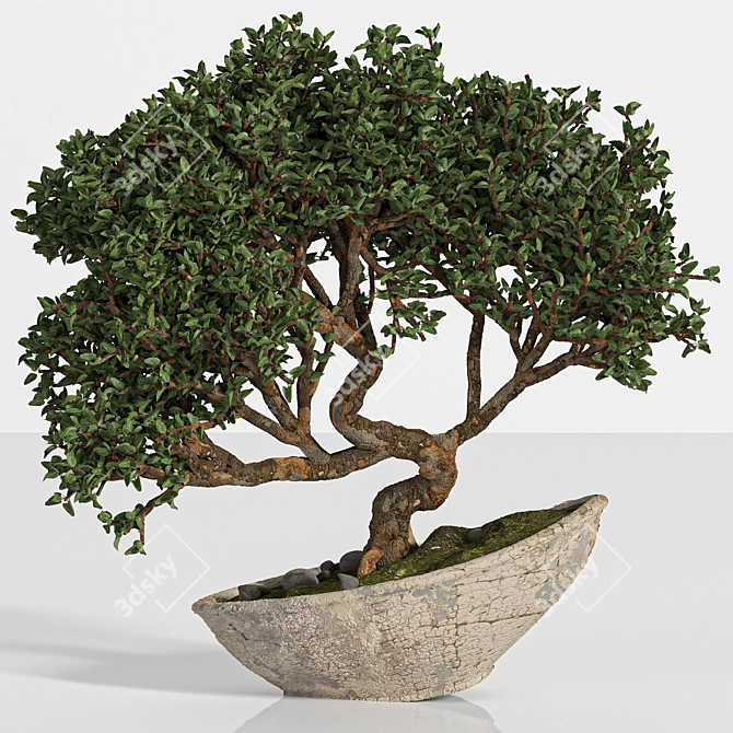 Artistic Bonsai 2015: Indoor Zen 3D model image 1