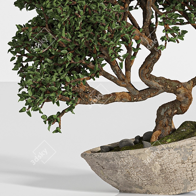 Artistic Bonsai 2015: Indoor Zen 3D model image 2