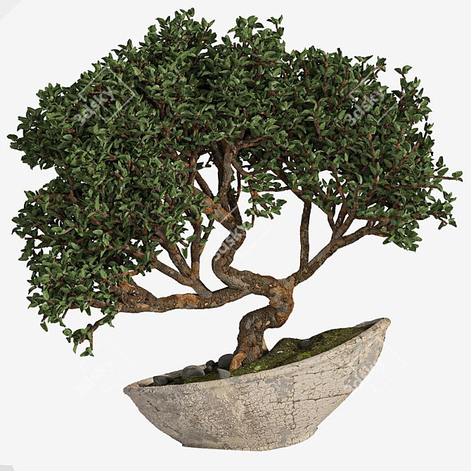 Artistic Bonsai 2015: Indoor Zen 3D model image 6