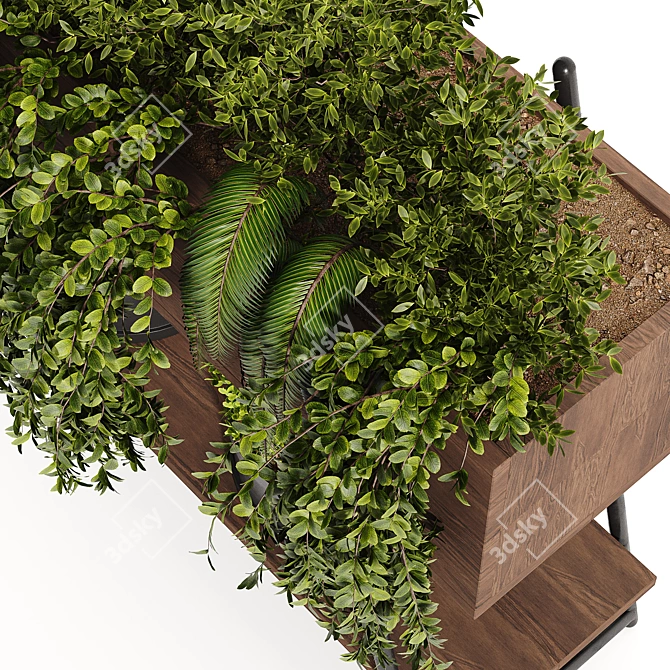 Lush Indoor Plant Collection 3D model image 4