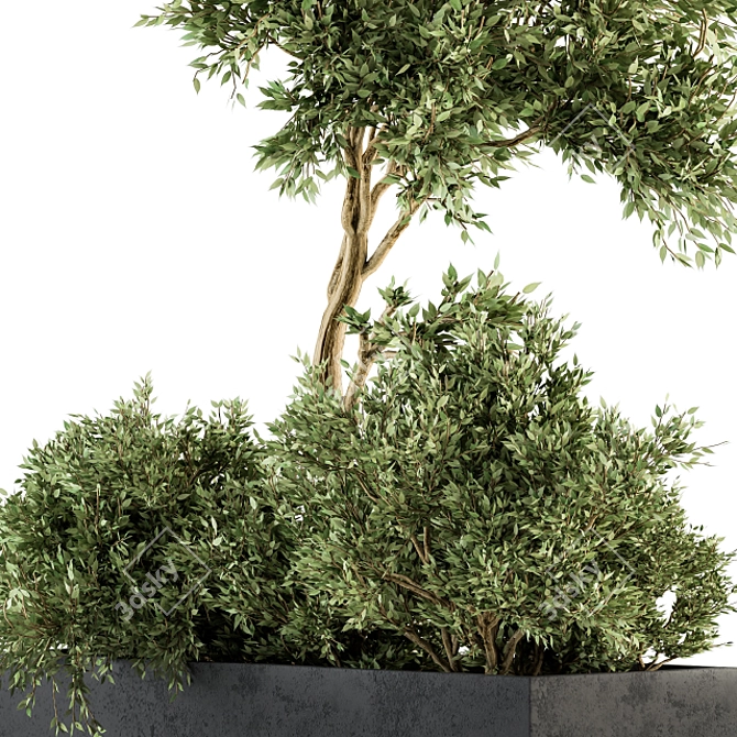 Nature's Haven: Outdoor Plant Set 3D model image 4