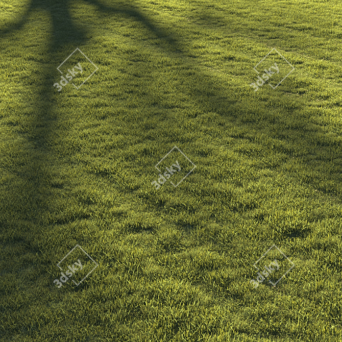 Premium Lawn Grass - Realistic 3D Model 3D model image 1