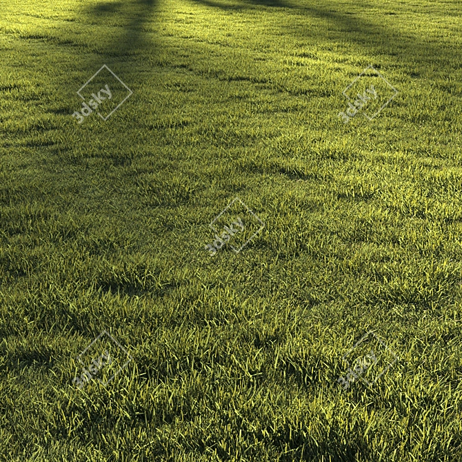 Premium Lawn Grass - Realistic 3D Model 3D model image 2