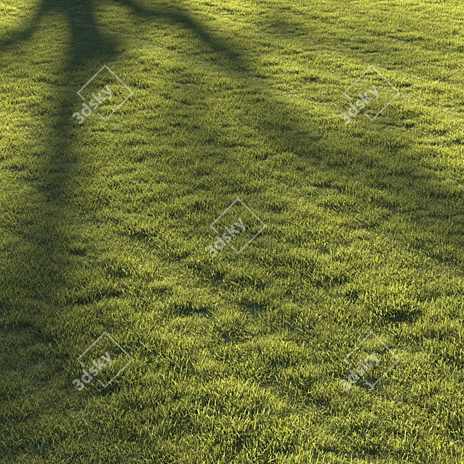 Premium Lawn Grass - Realistic 3D Model 3D model image 5