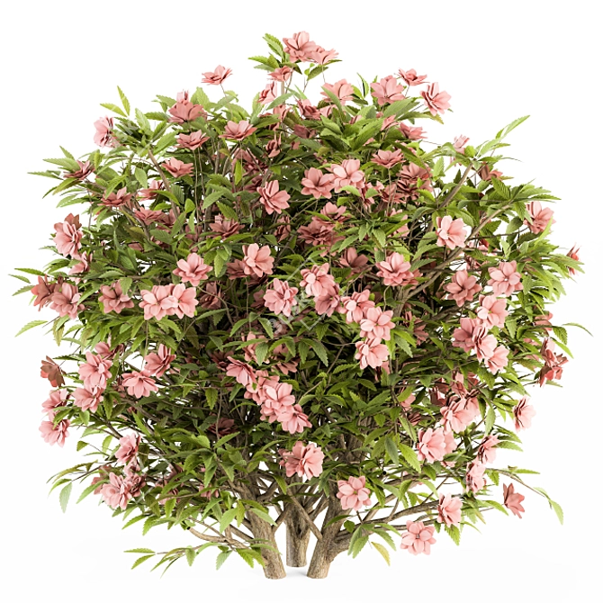 Pretty in Pink: Floral Bush Set 29 3D model image 3