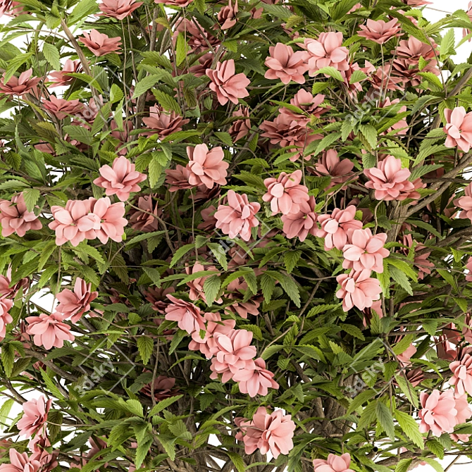 Pretty in Pink: Floral Bush Set 29 3D model image 4