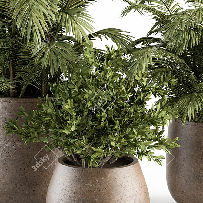 Tropical Oasis: Outdoor Plant Set 3D model image 2
