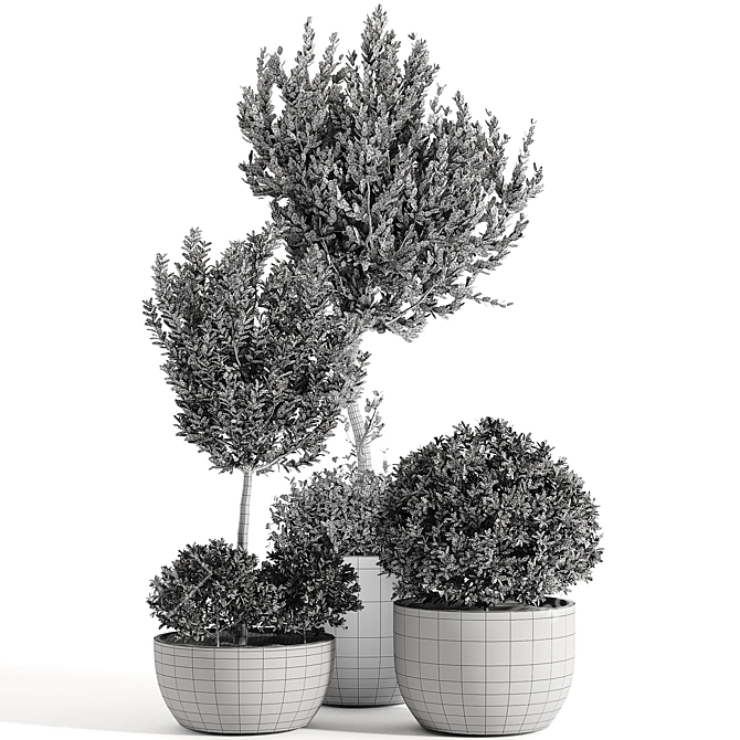 Lush Green Indoor Plant Collection 3D model image 4