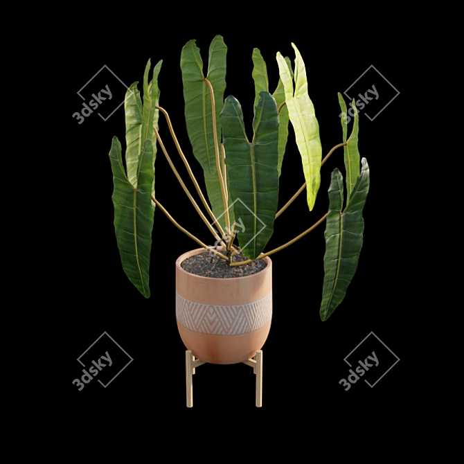 Rare Philodendron Billietiae - 3D Model 3D model image 7