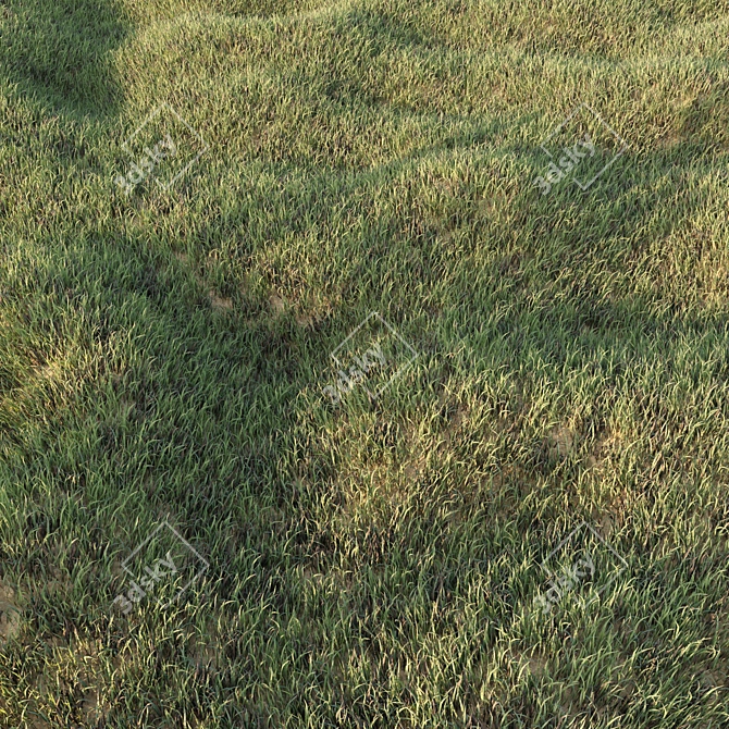 Lush Low Poly Grass Set 3D model image 1