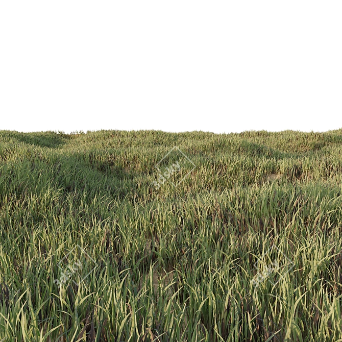 Lush Low Poly Grass Set 3D model image 3