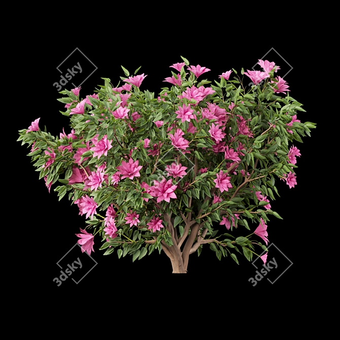  Vibrant Blooms Collection 3D model image 6