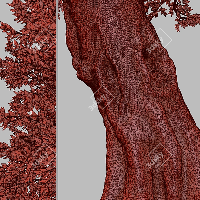 Amur Cork Tree Set (2 Trees) 3D model image 6