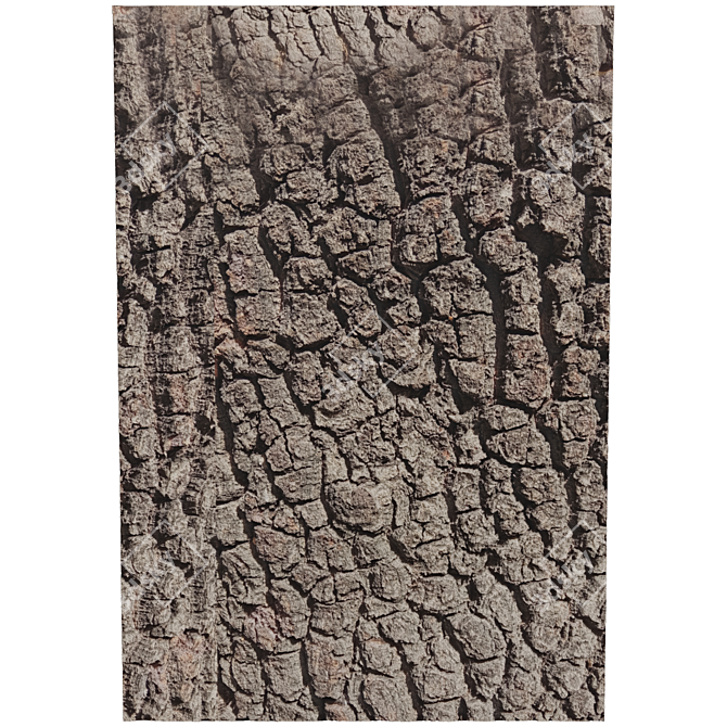 Natural Wood Trunk Texture 3D model image 2