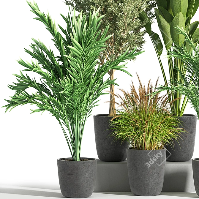 Green Oasis Indoor Plant Set 3D model image 2