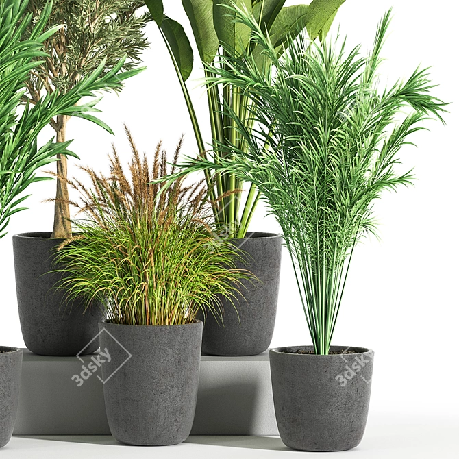 Green Oasis Indoor Plant Set 3D model image 3