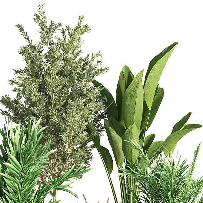 Green Oasis Indoor Plant Set 3D model image 4