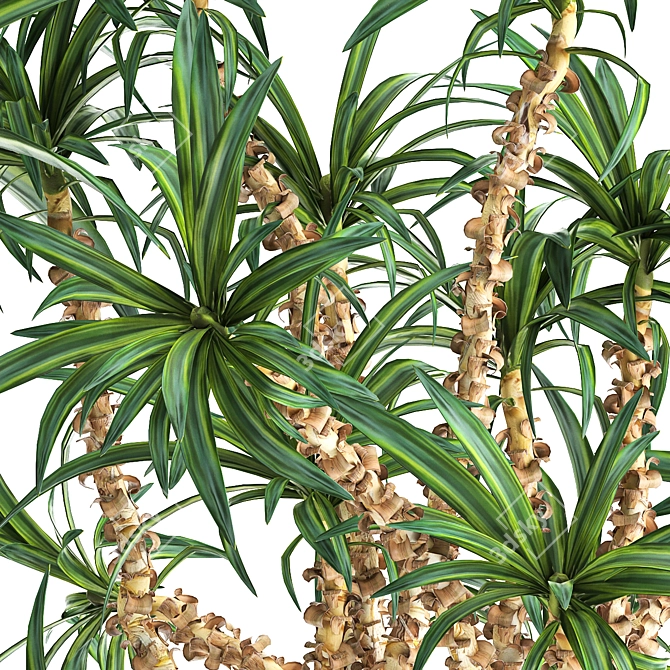 Tropical Plant Collection in Vig Planter 3D model image 3