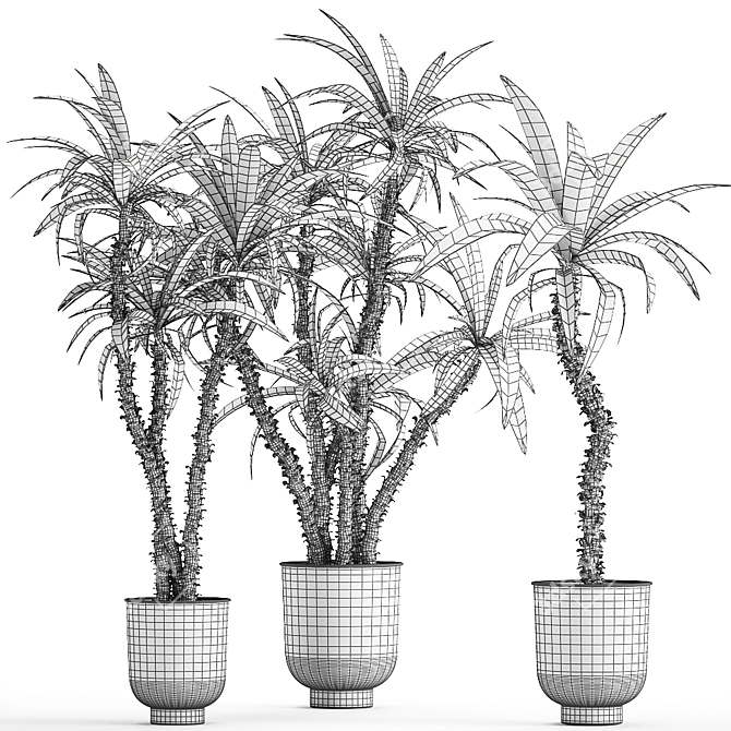 Tropical Plant Collection in Black Pots 3D model image 7