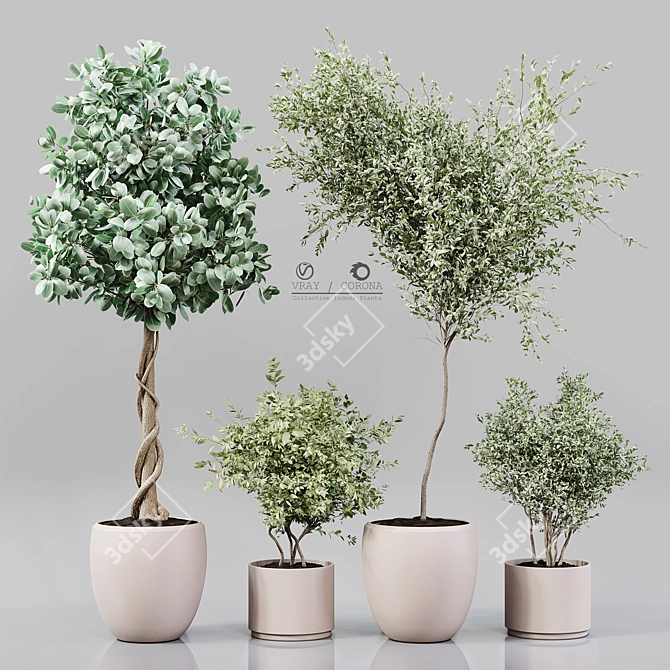 Green Oasis: Collaction Indoor Plants 3D model image 1