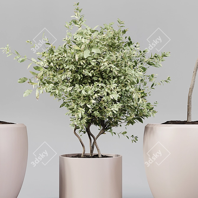 Green Oasis: Collaction Indoor Plants 3D model image 2