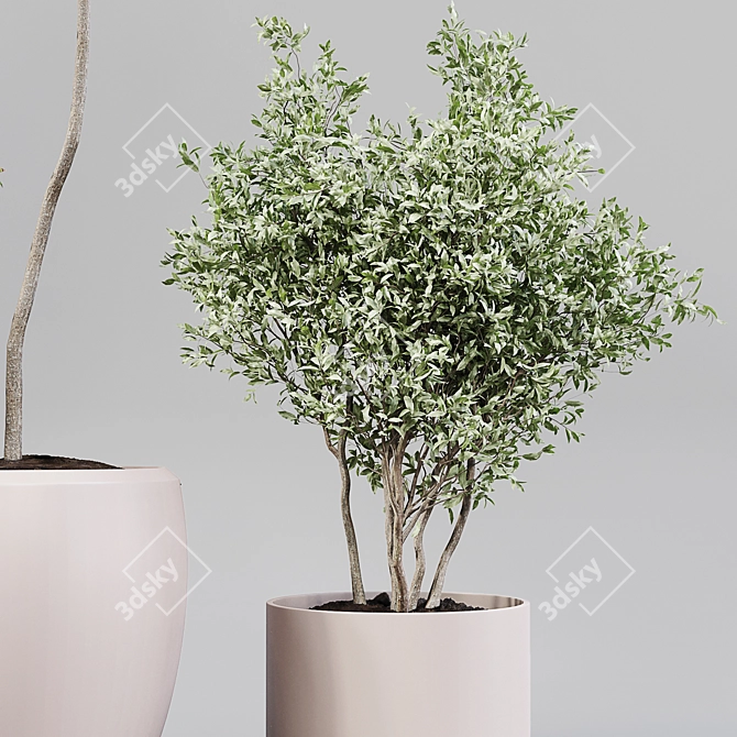 Green Oasis: Collaction Indoor Plants 3D model image 3