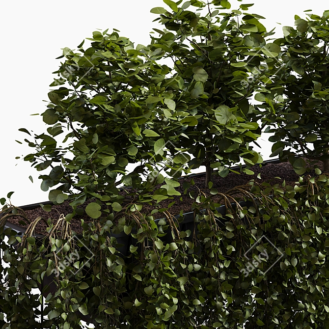 Elegant Outdoor Plant Box 3D model image 2