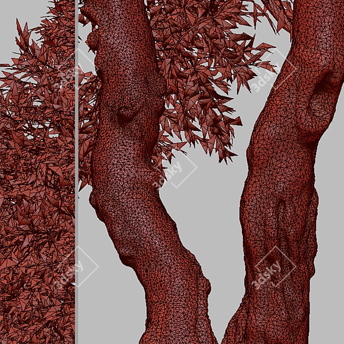 Arroyo Willow Set: 2 Salix lasiolepis Trees 3D model image 5