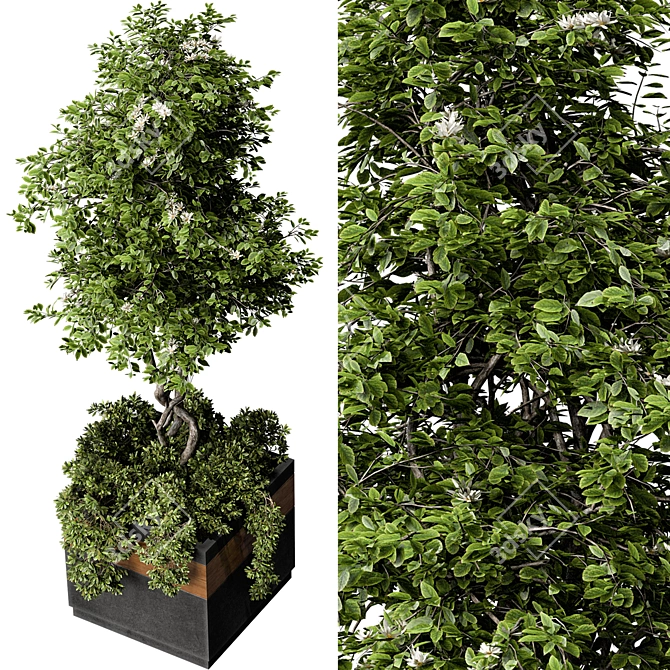 Ultimate Outdoor Plant Set 3D model image 3