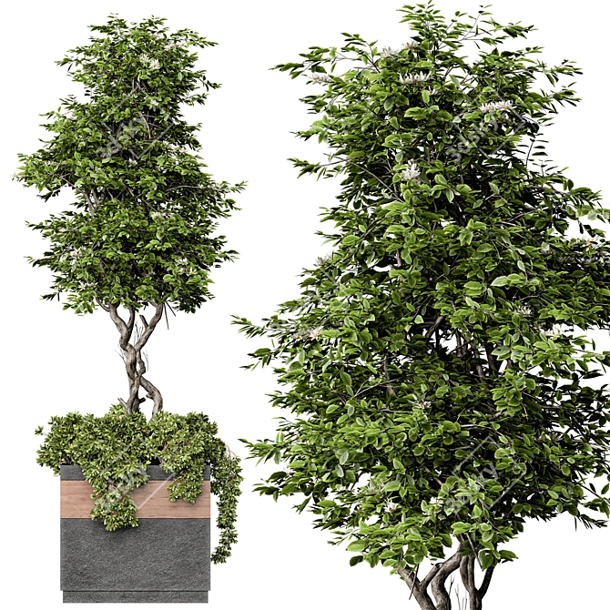 Ultimate Outdoor Plant Set 3D model image 4