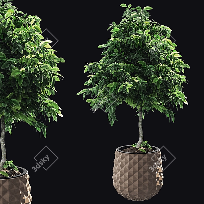 Lush Greens: Plants Set 2014 3D model image 1