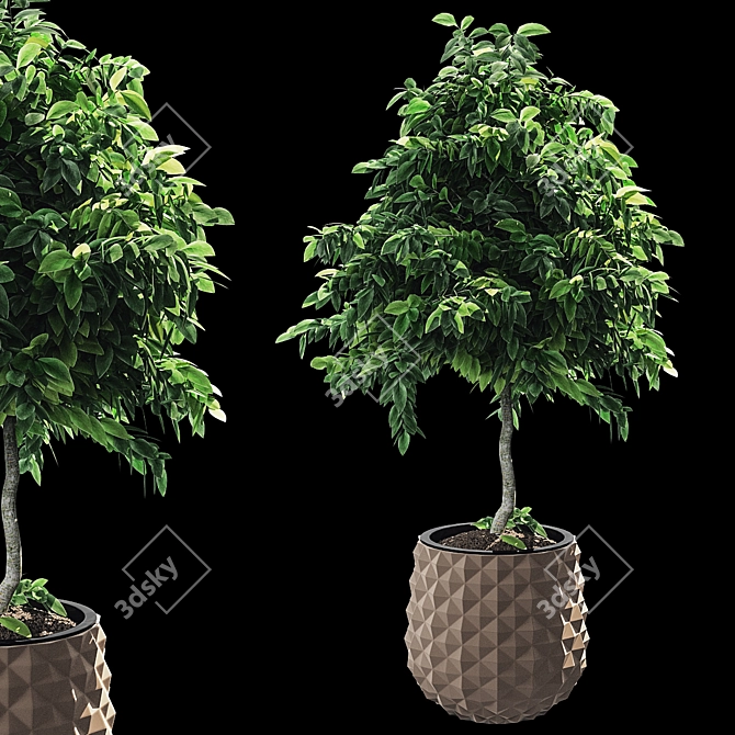 Lush Greens: Plants Set 2014 3D model image 3