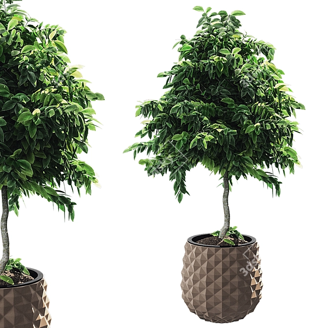 Lush Greens: Plants Set 2014 3D model image 4